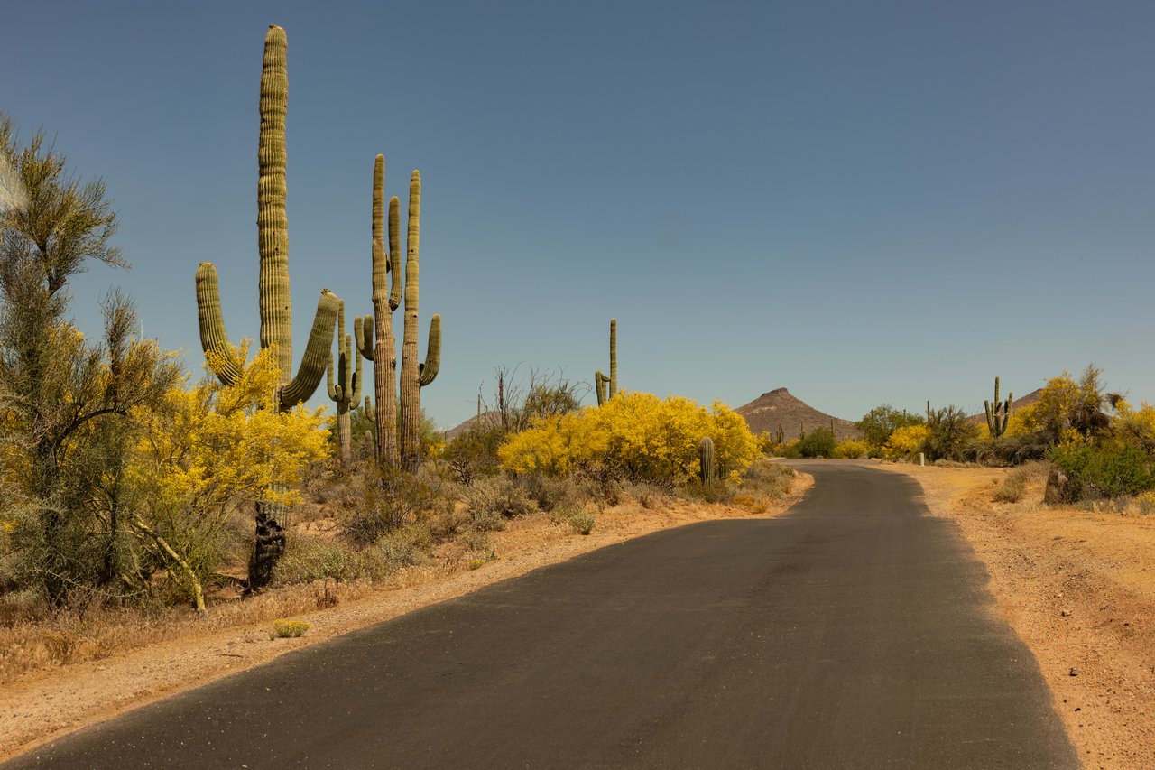 Your Future Is Being Discussed in Rooms You’ll Never See... Is Your Trusted Real Estate Advisor in the Room?