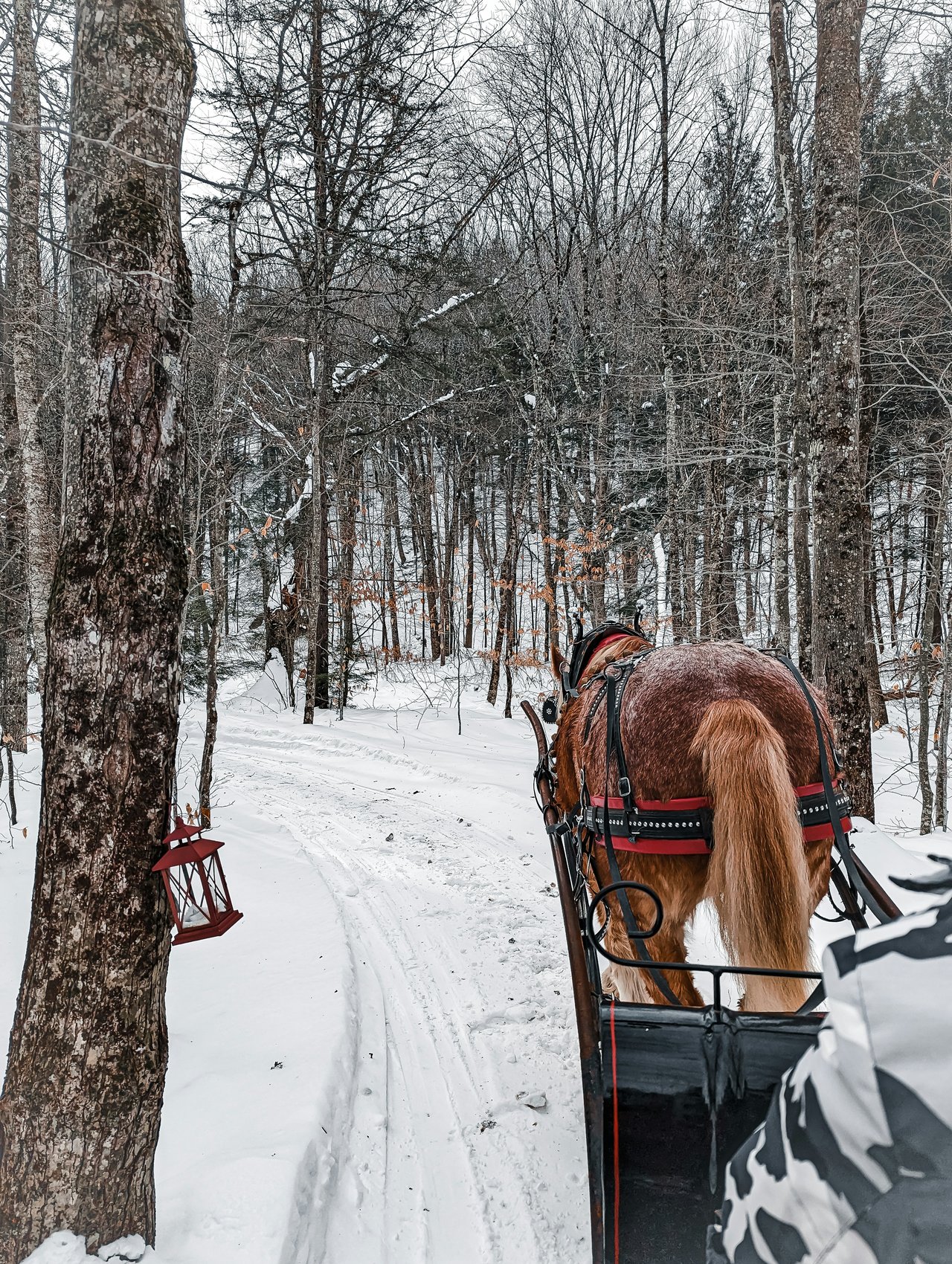 10 Winter Activities for Kids in Idaho Falls