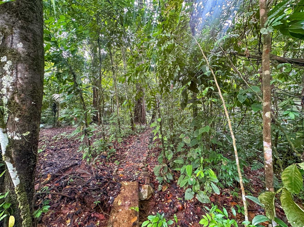 Rainforest Home with River, Jungle Trails & Pool in Ojochal