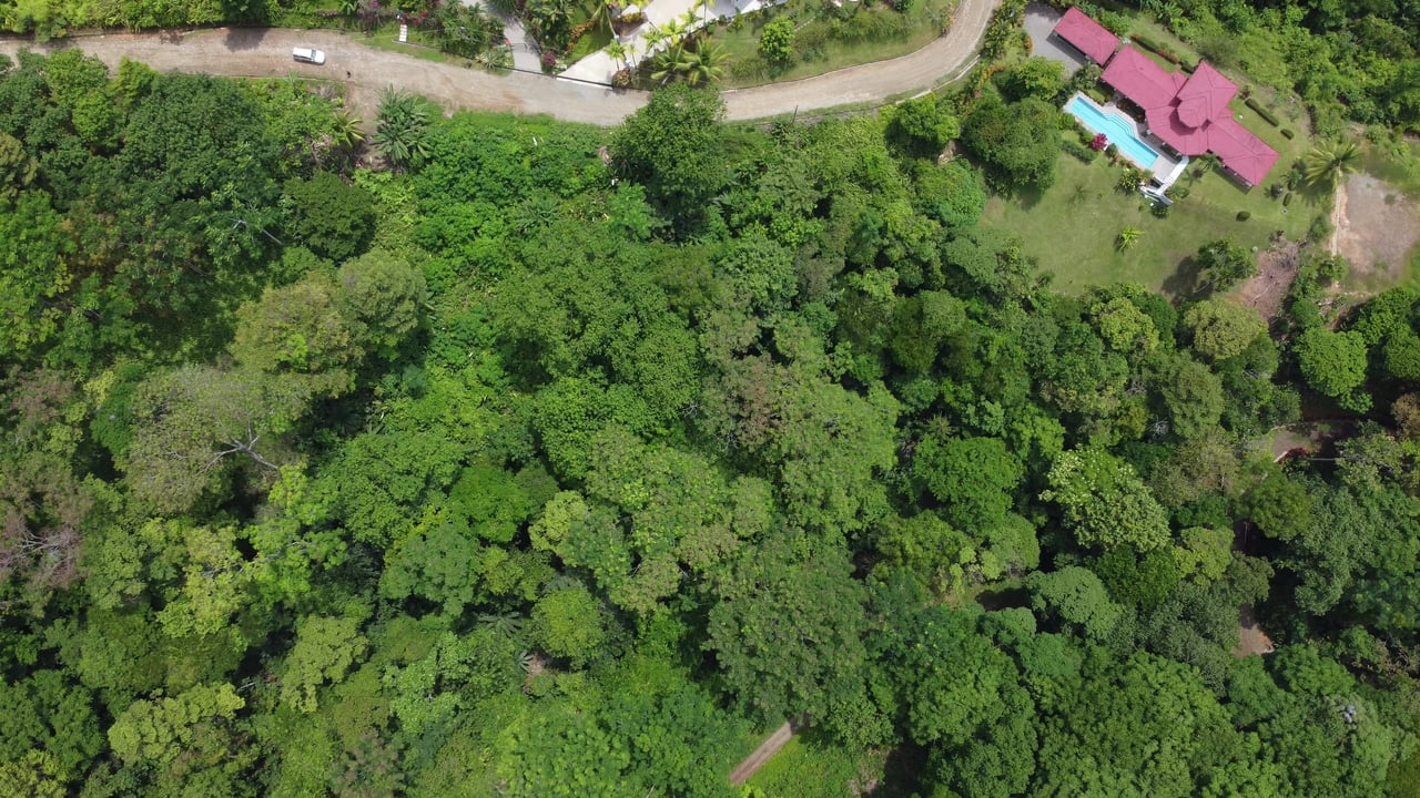 Ojochal - 1 Acre Ready To Build Jungle Lot, Ocean Breezes in Wildlife Corridore