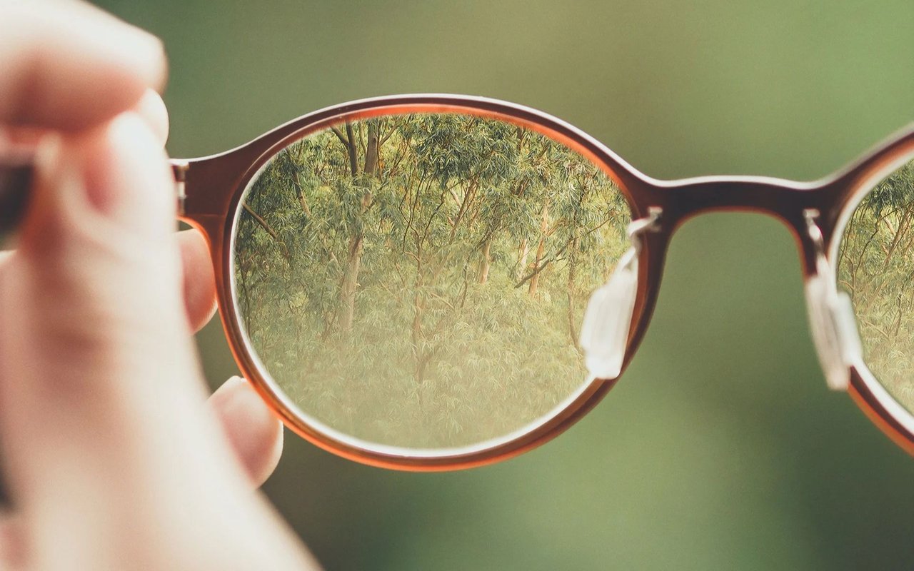 Hand holding glasses with leafy trees reflected in the lenses.