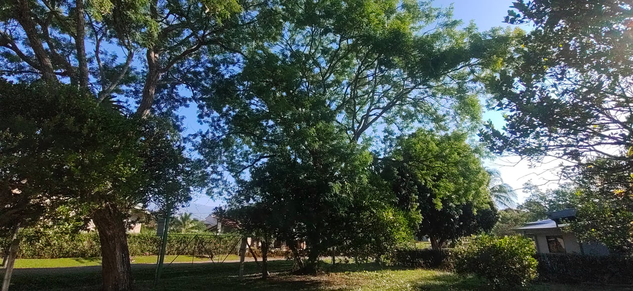 PRIME 1,100 M² LOT IN RESIDENCIAL LOS VIEJOS – FLAT, PRIVATE, AND READY TO BUILD