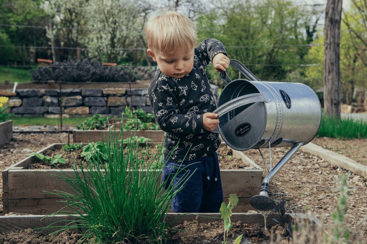 Growing Your Net Worth with Homeownership