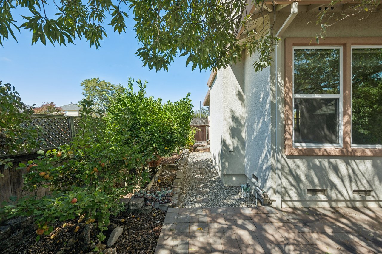 House side yard with a gravel path, raised garden beds, fruiting shrubs, and a shaded paved patio.