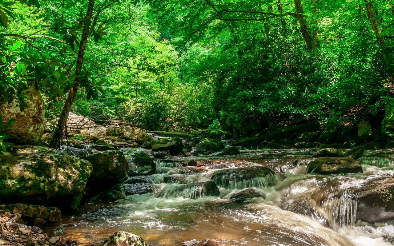 Nantahala Lake
