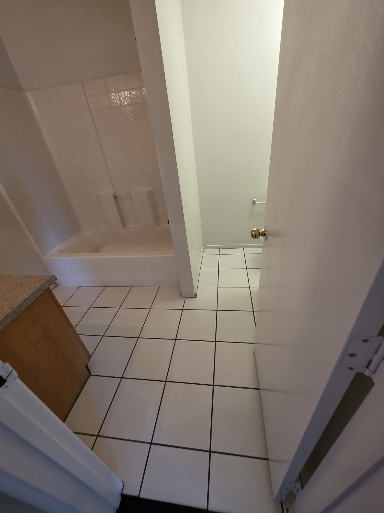 3849 Soda Springs Drive - 1