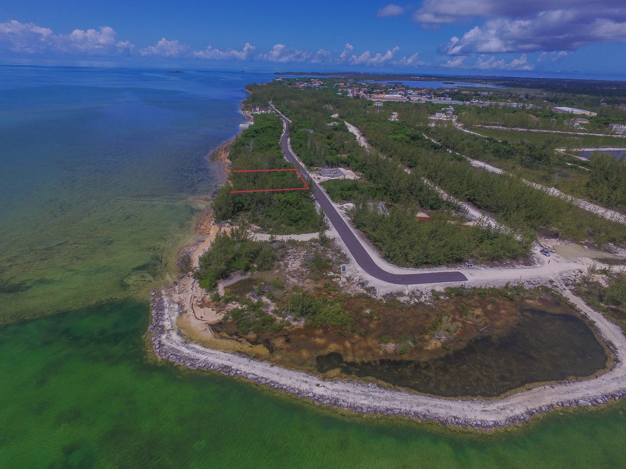 Lot #67 South Seas
