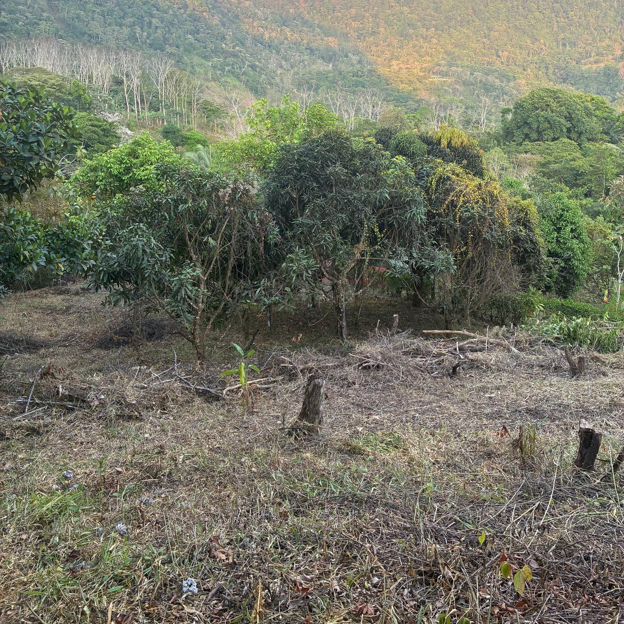 Ocean & Mountain View Lot with Multiple Building Sites-20 Minutes from Uvita