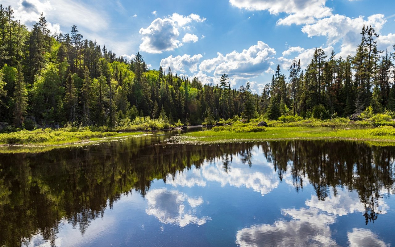 Forest-lined pond reflecting clouds beneath a bright blue sky.