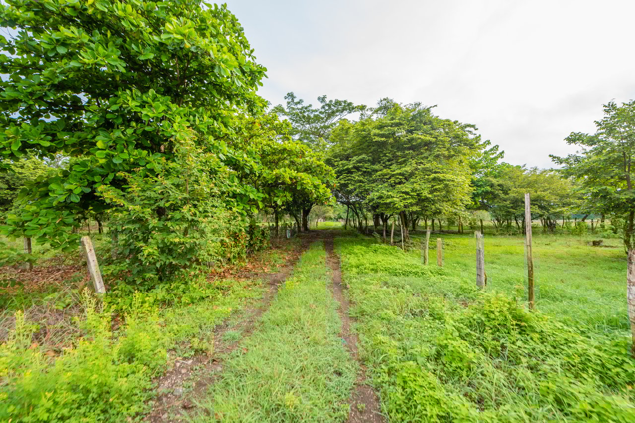 La Garita de Tamarindo Lot |1.3-Acre Home Site Near Top Beaches, Private, Scenic, and Well-Located