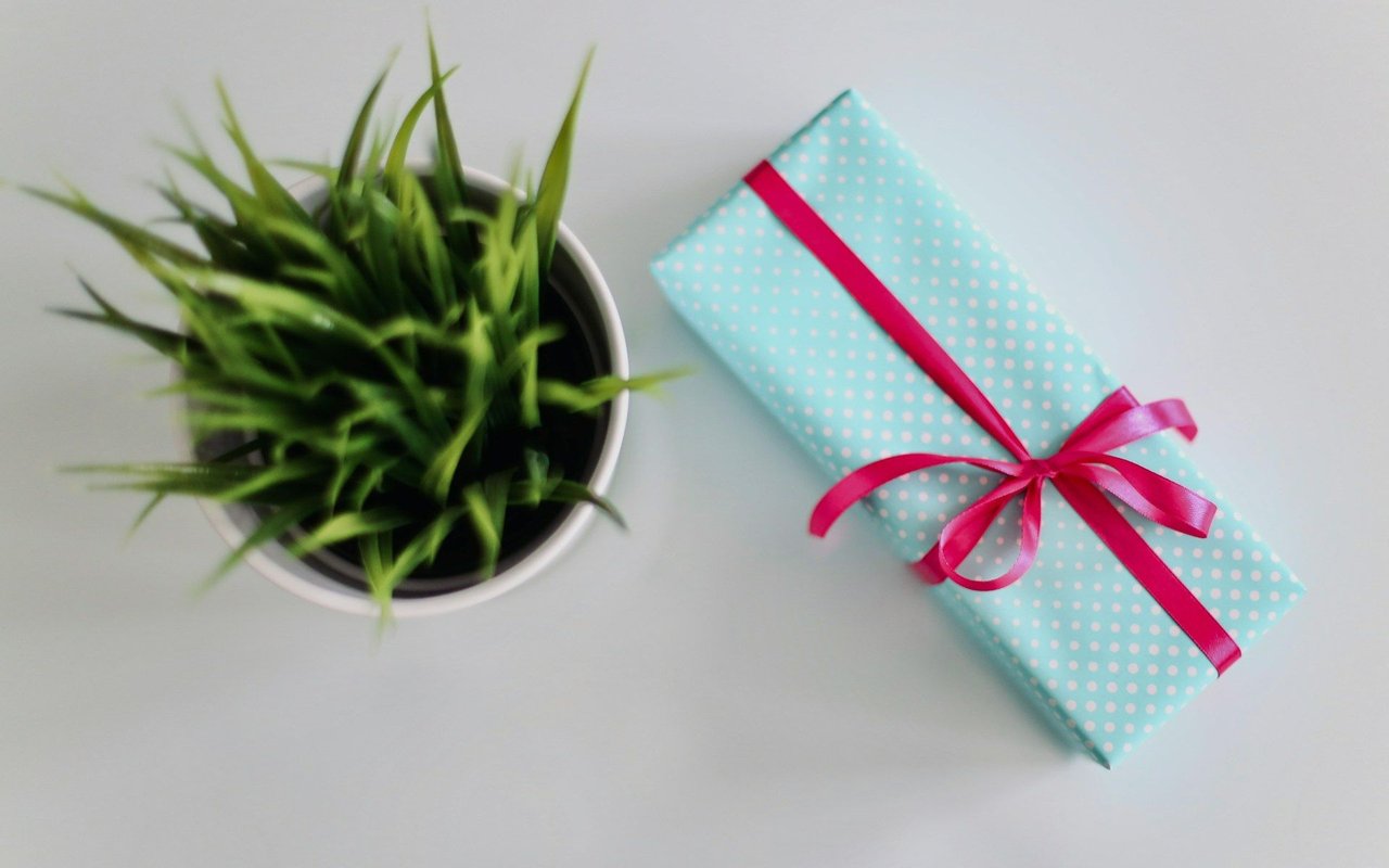 Top Ten Eco-Friendly Gifts (that won't break the bank)