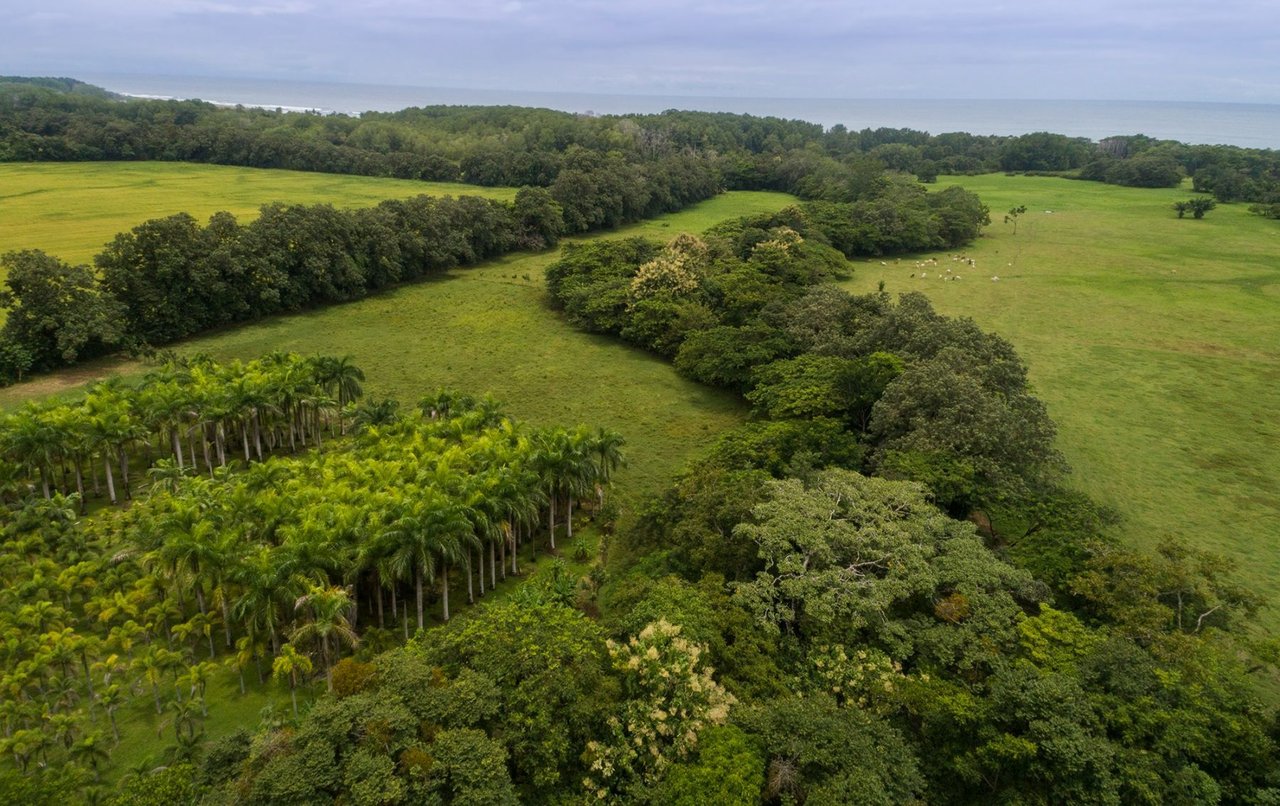 Beachfront Development Land, Dominical, Puntarenas