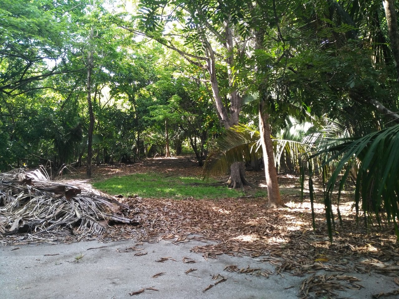 Private Secluded Beachfront Lot, Santa Teresa, Puntarenas