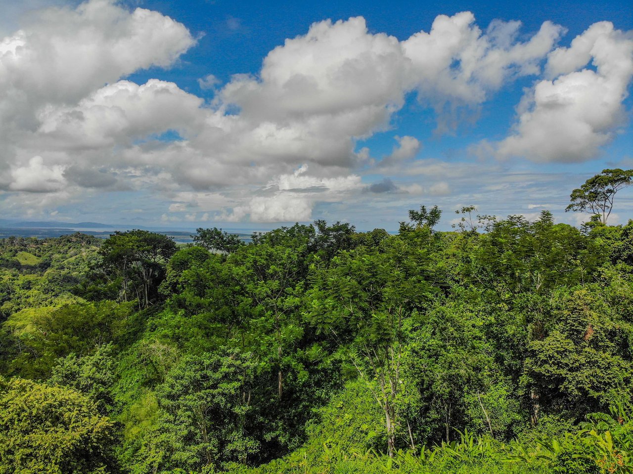 Ocean & Mountain View Half-Acre Lot in Gated Chontales Community