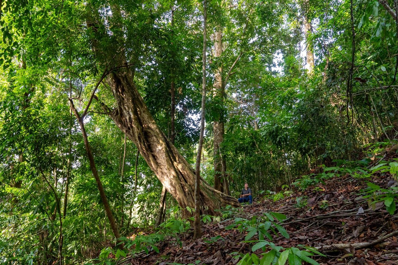 Private Ocean View Development Lot, Dominical, Puntarenas