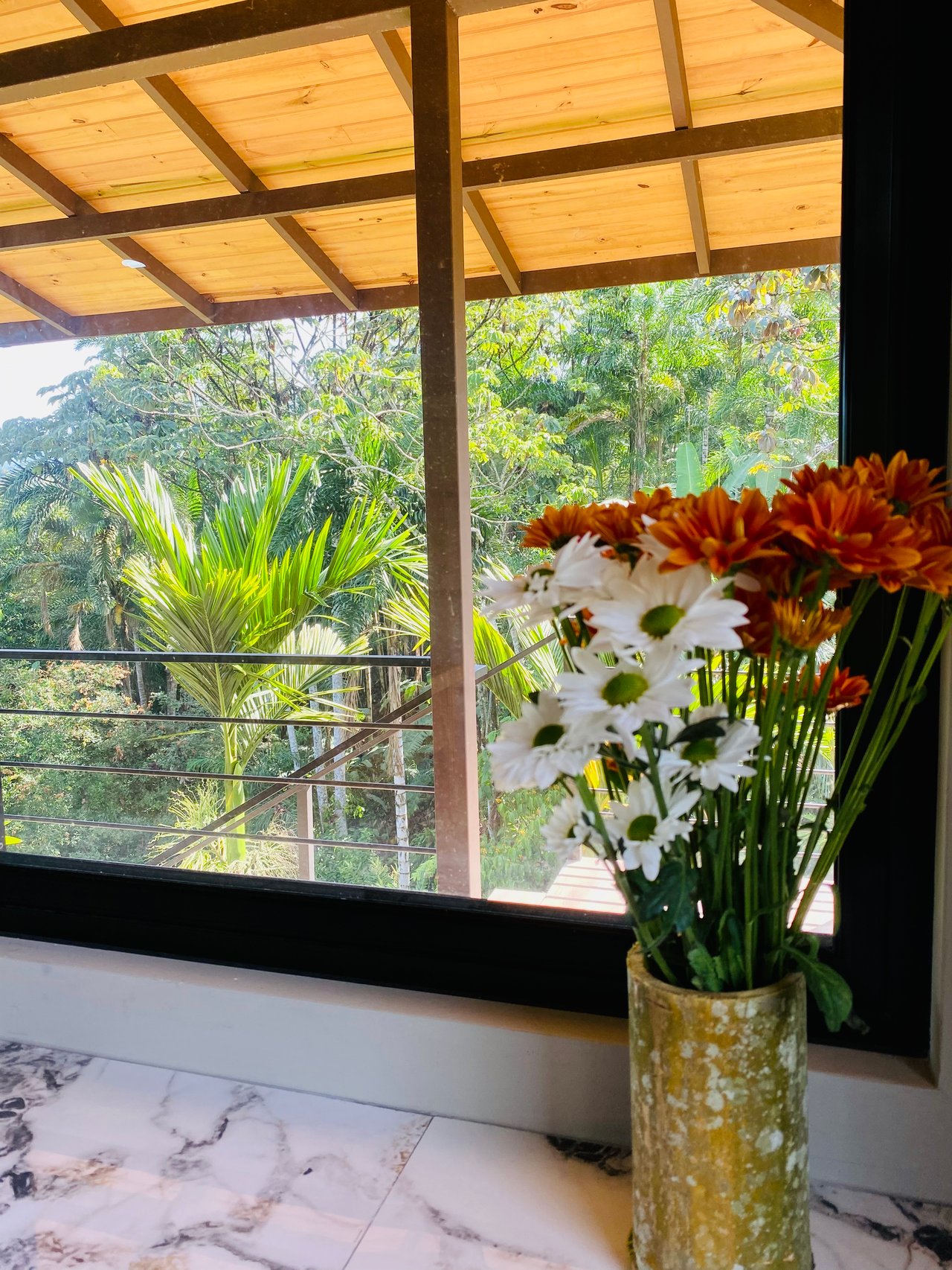 Mountain Oasis with House and Guest Cabin in Las Brisas, San Vito 