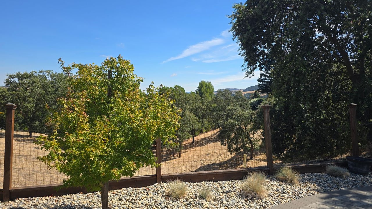 Coming Soon to Danville, CA: Beautiful Single-Level Home in Woodbine