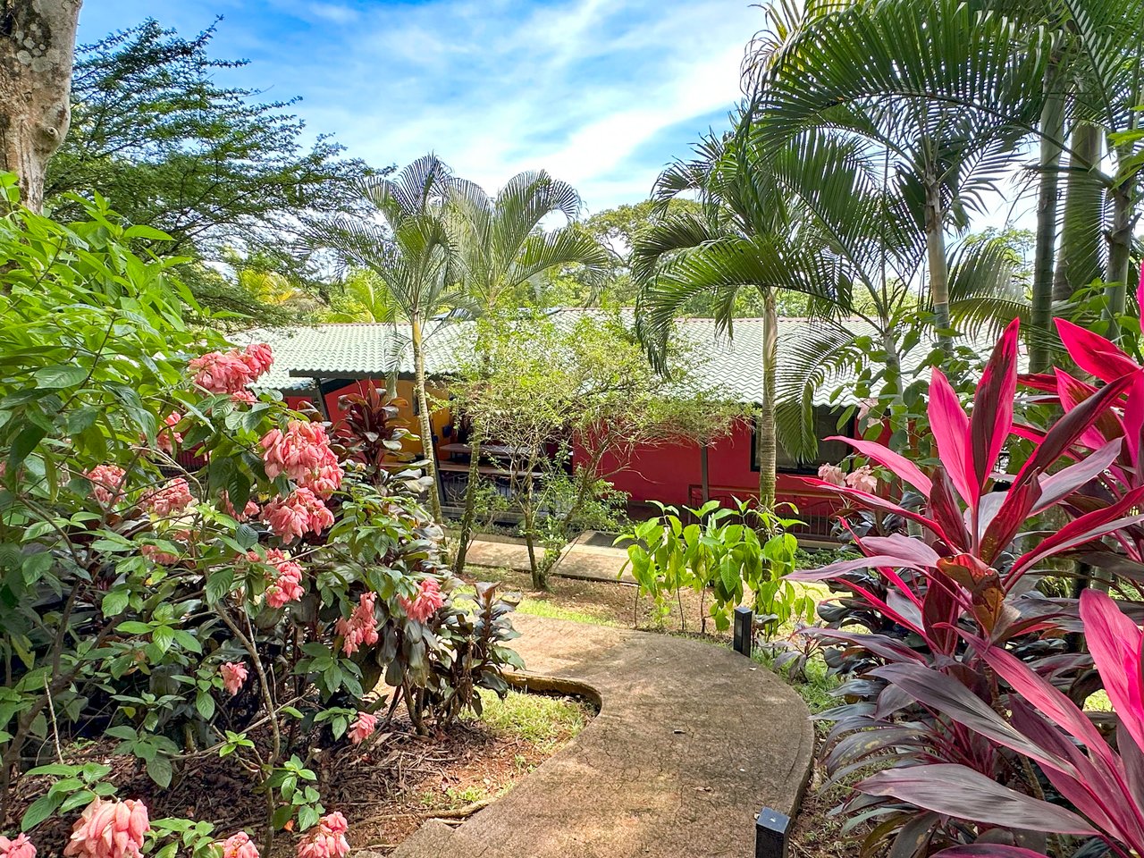 Ojochal Property for Sale – Cabins, Restaurant & 3-Bed Home