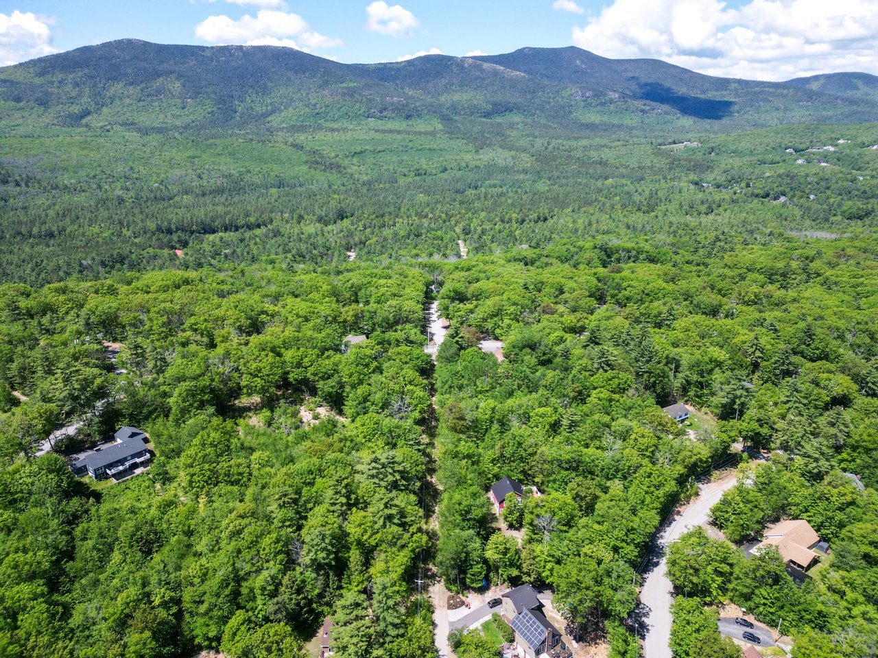 Birch Hill
