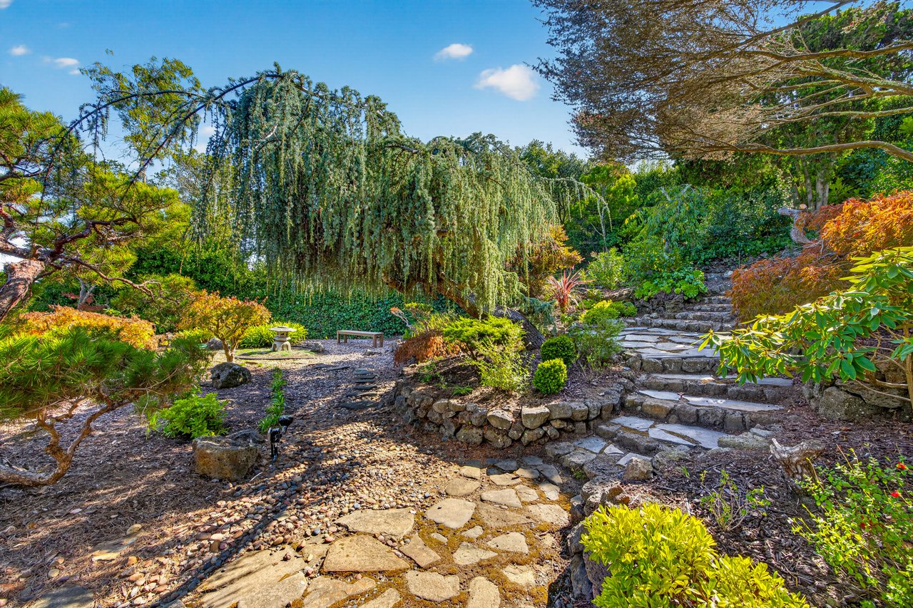 Belvedere Gem on an Incredible Lot