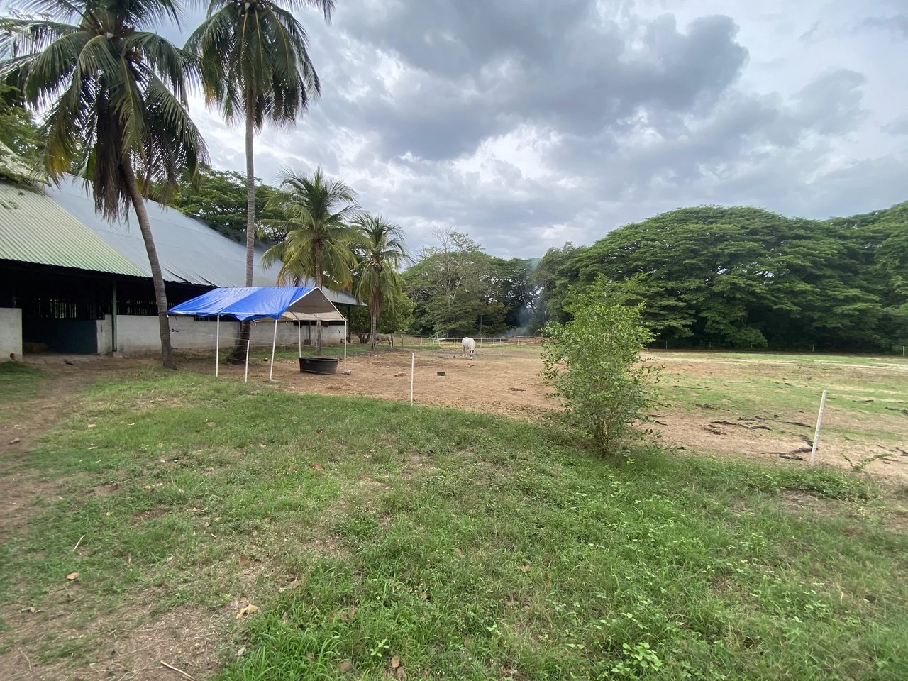 Prime Development Land, Flamingo, Guanacaste