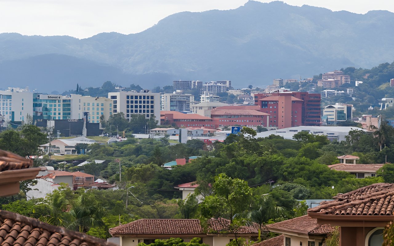 Bosque de las Lomas