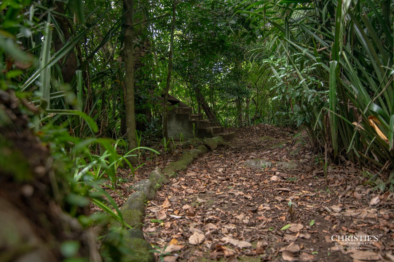Origins Mineral: A Rare Landholding in Guanacaste’s Volcanic Highlands
