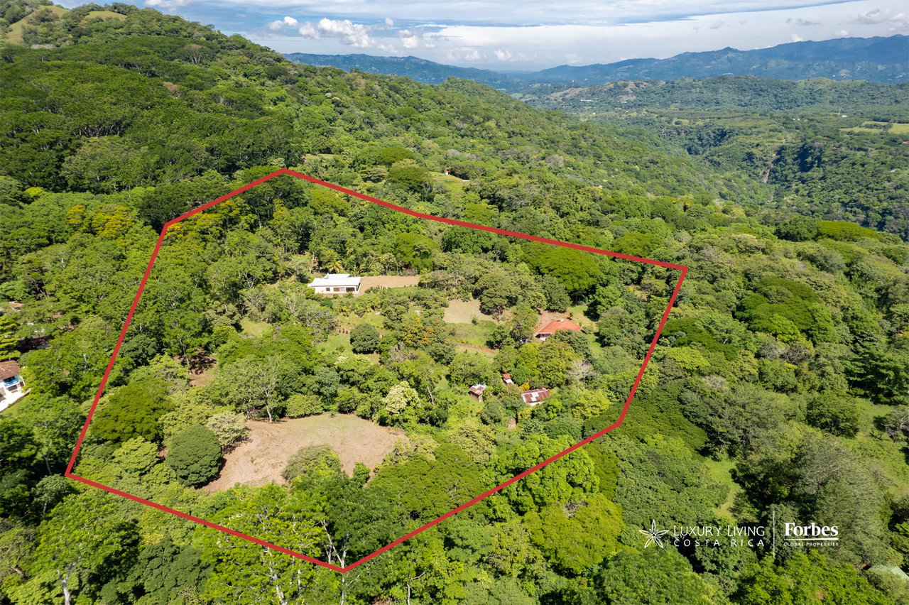 Aerial view of wooded agricultural land outlined in red, with clearings and several small buildings.