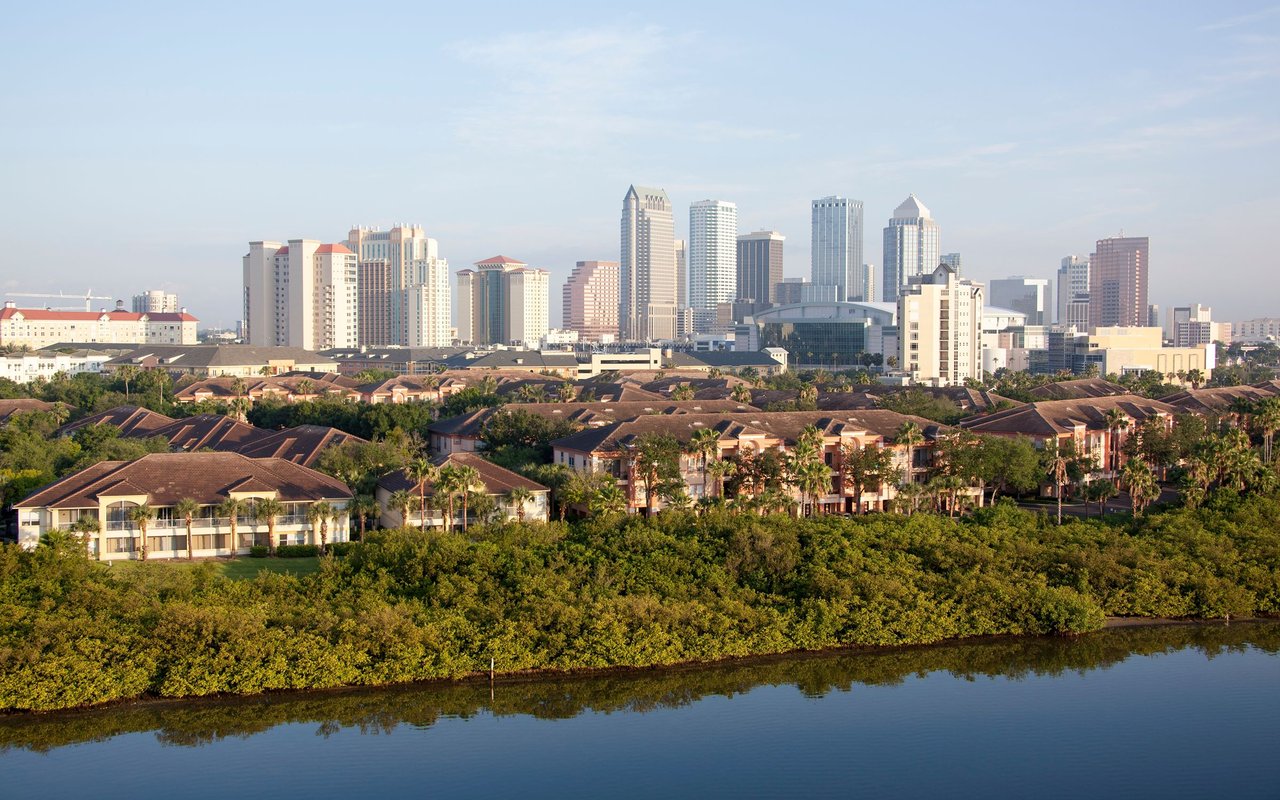 South Tampa