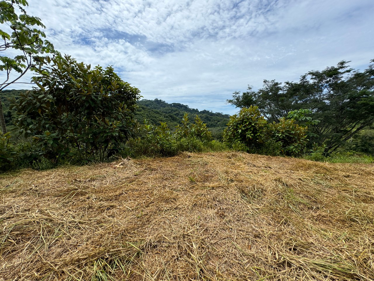 2.6 ACRES – 3 Bedroom Home With Beautiful Views, Several More Building Sites, Perfect For Small Farm!!!
