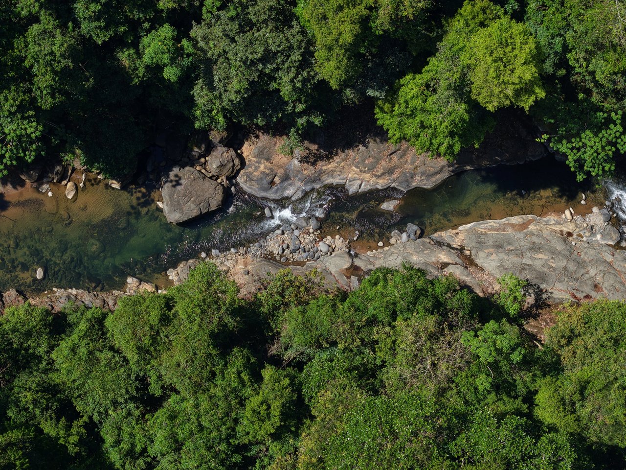 FINCA SAN JOSECITO | Prime 20-Hectare Ocean View Property for Sale in Uvita, Costa Rica