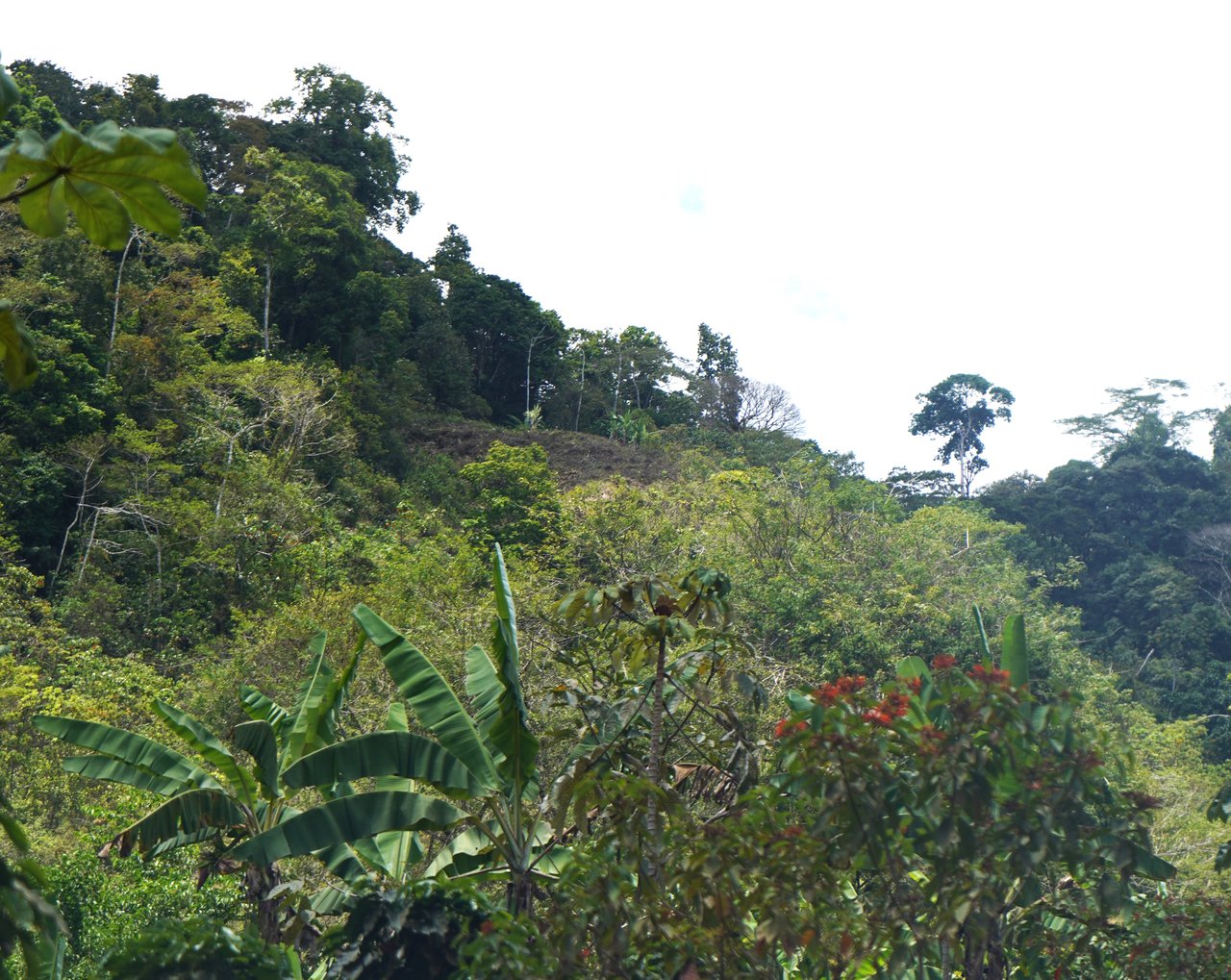 Incredible Mountain and Whale Tail View Home Site Above Uvita