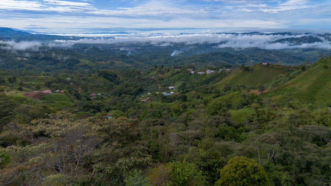 10.21 Acres with Views & Plantels – Pérez Zeledón