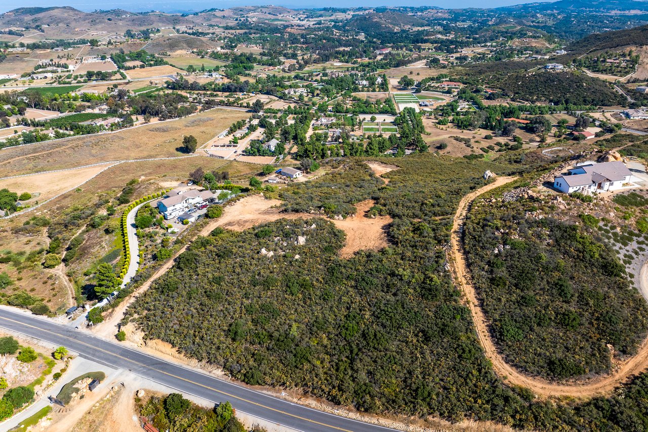 6 Vista del Bosque