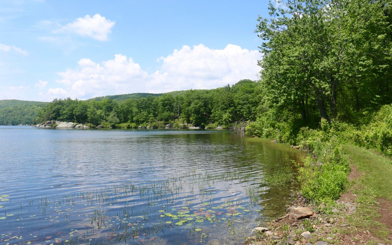 Tuxedo Park