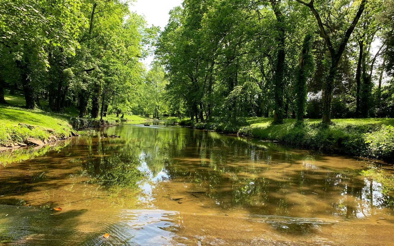 Belle Meade