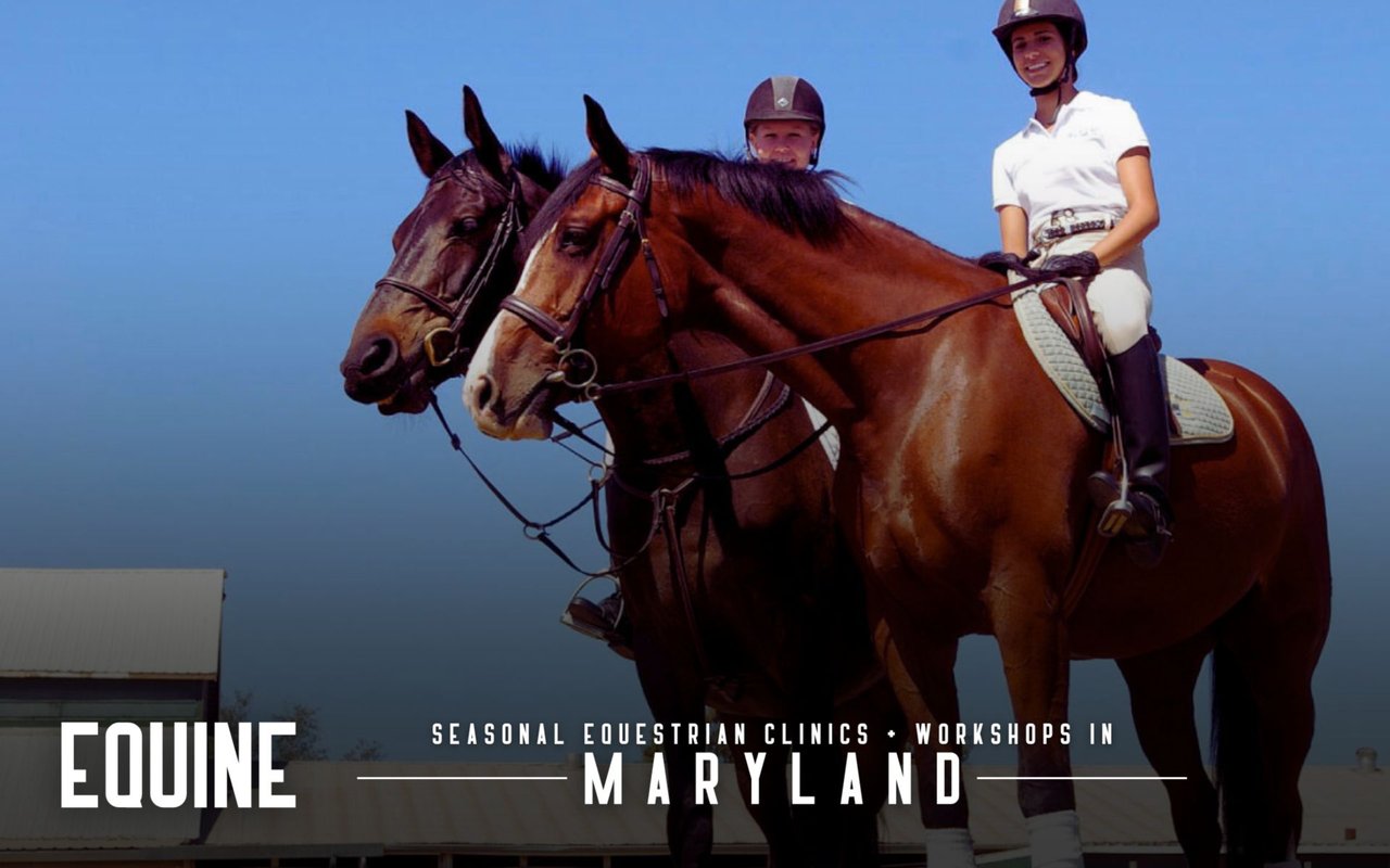 Seasonal Equestrian Clinics and Workshops in Maryland