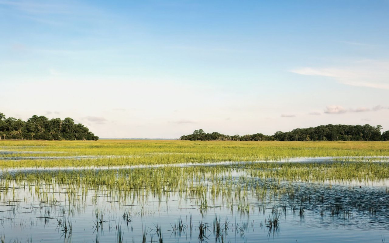 April 2025 Hilton Head Real Estate Market Report