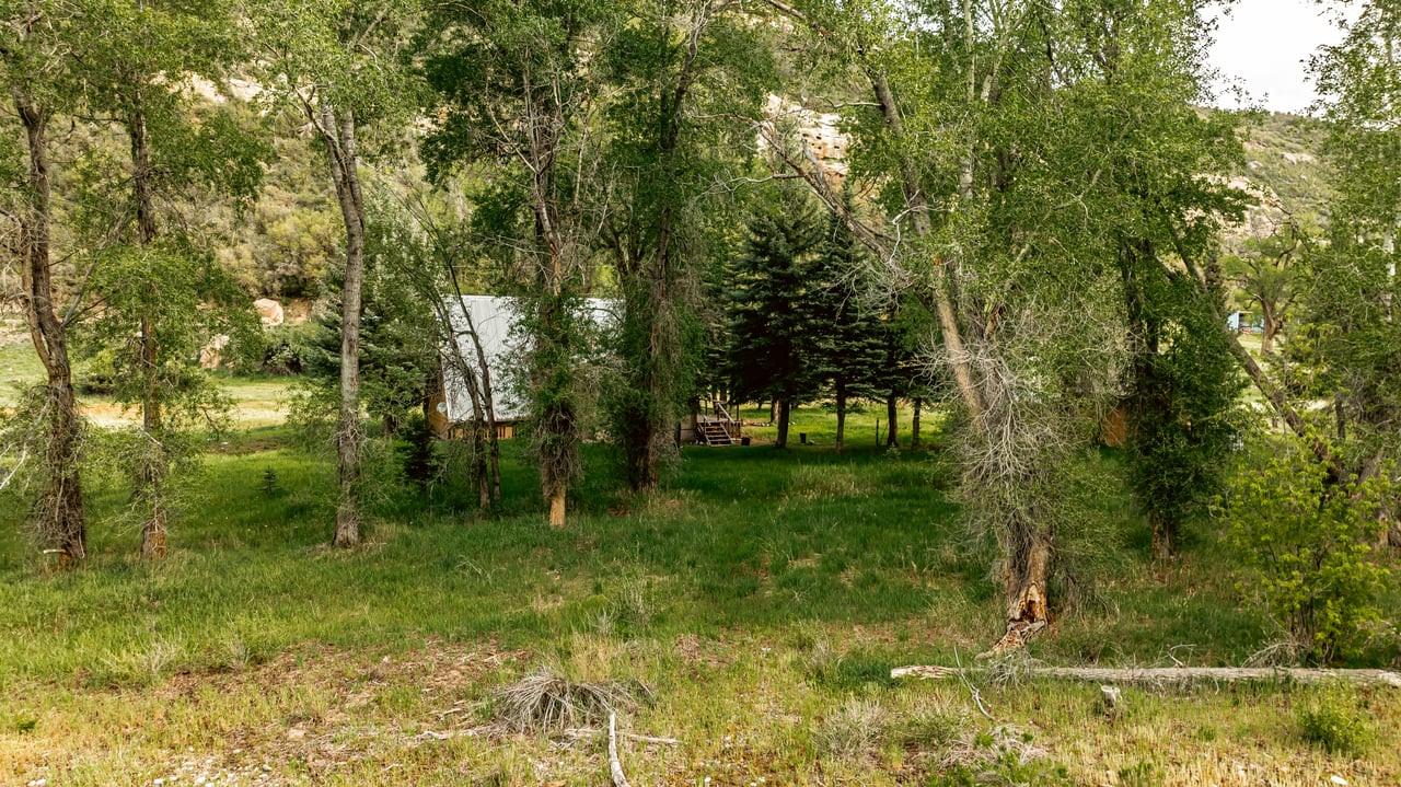Wooded property clearing with mature trees, a small structure, and a rocky hillside.
