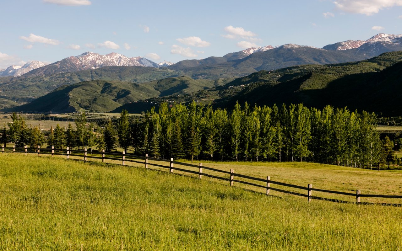 Woody Creek