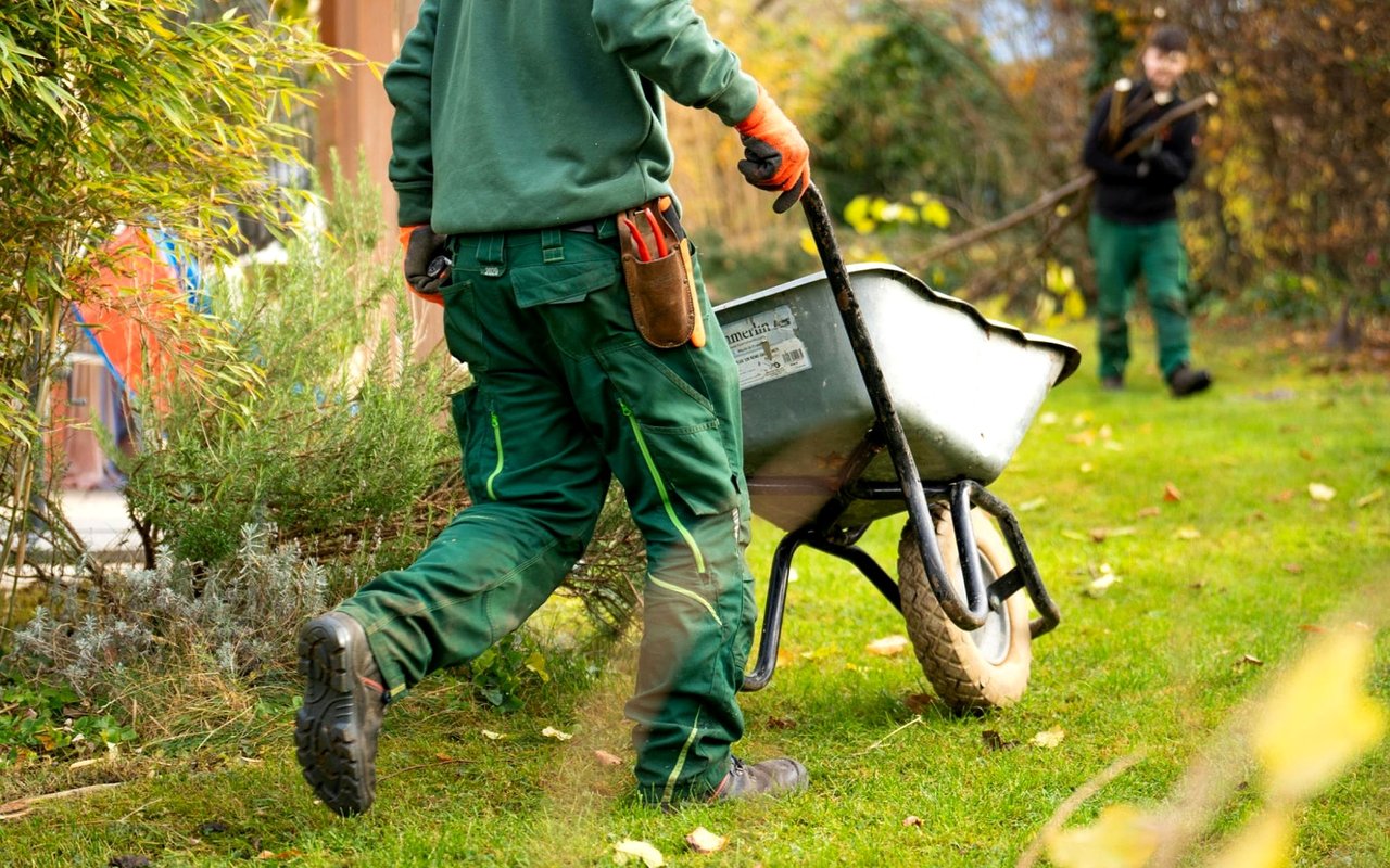 ​​How to Find the Best Landscapers in Birmingham, MI, to Improve Curb Appeal