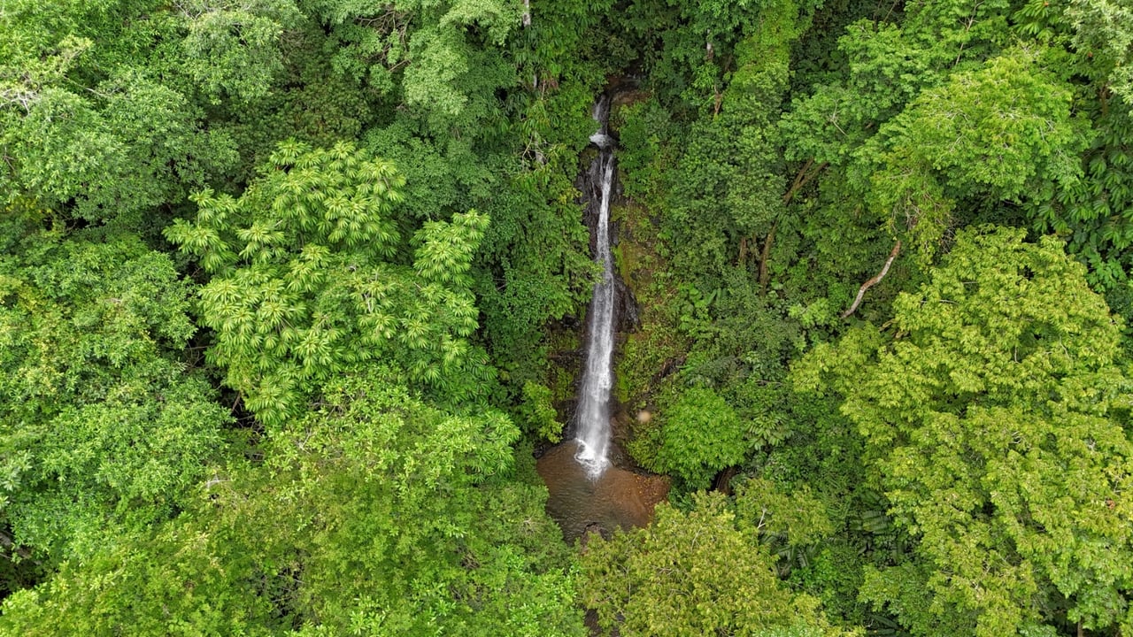Waterfall Orchard Jungle Estate, Ojochal, Puntarenas