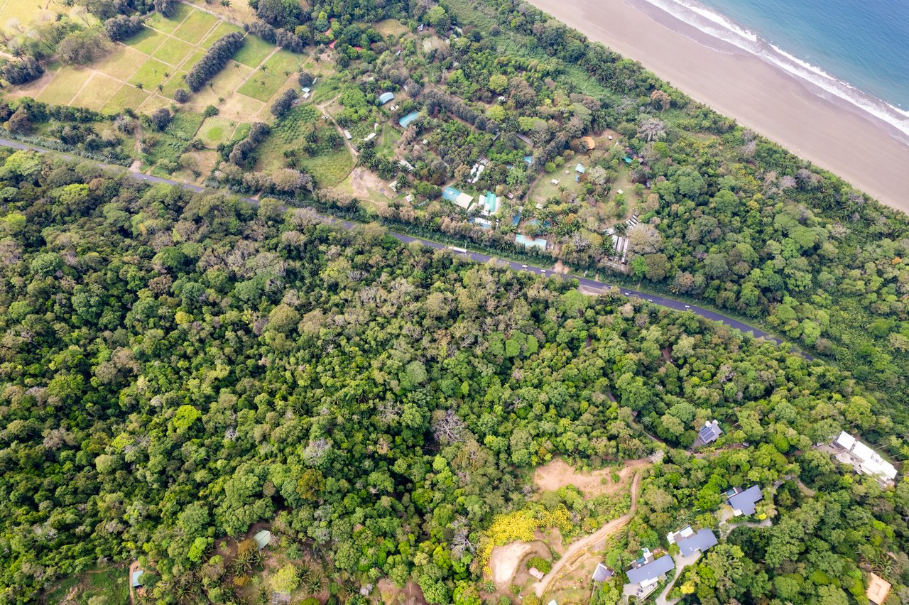 Ultra-Luxury Coastal Estate with Iconic Whale’s Tail Views