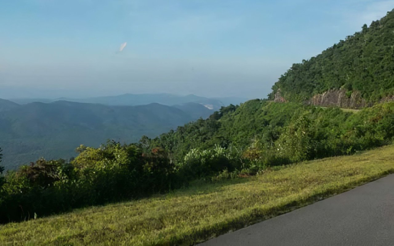 East Asheville