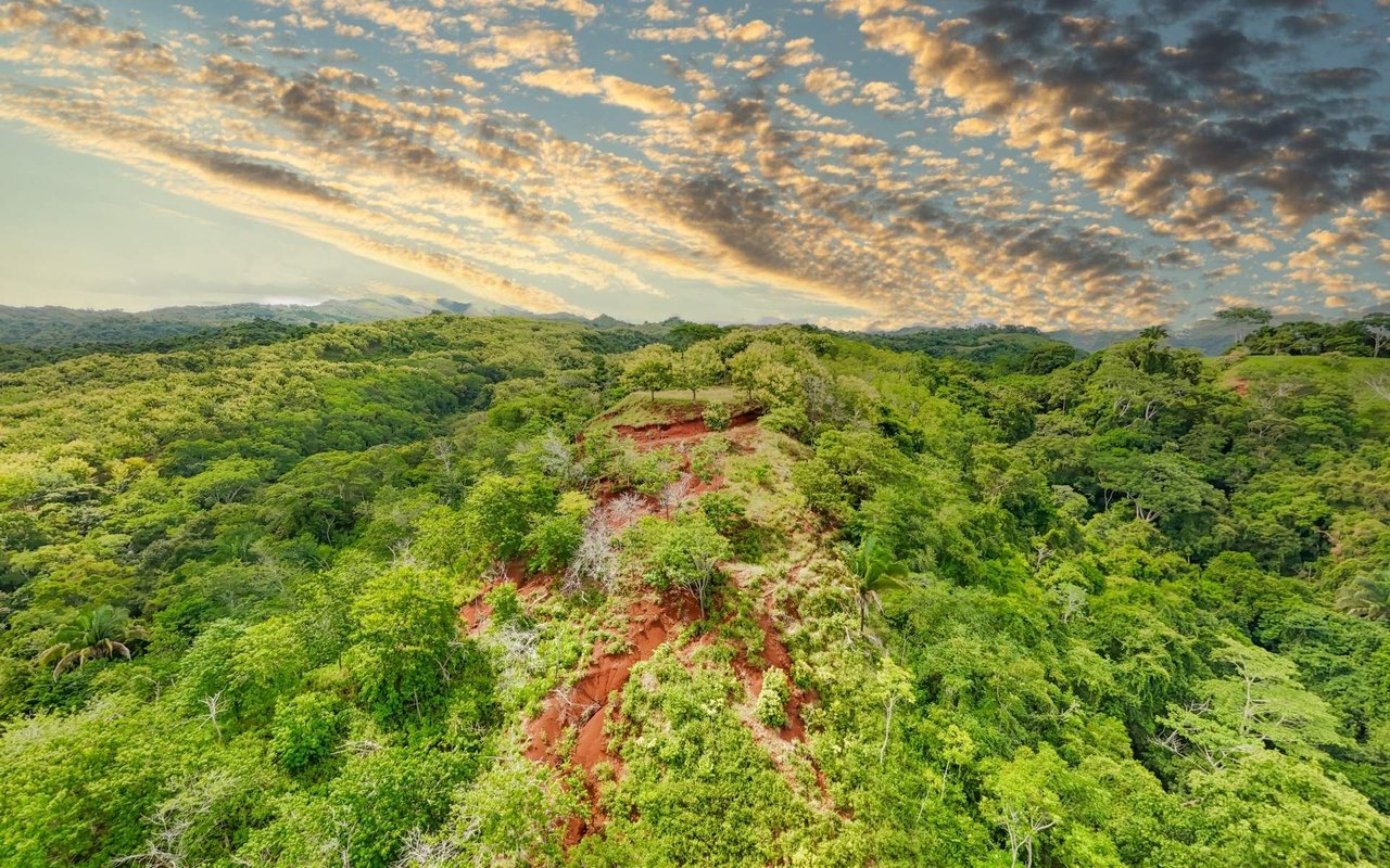 Ocean View Ridge Farm | 135-Acre Estate Near Playa Hermosa, Jacó