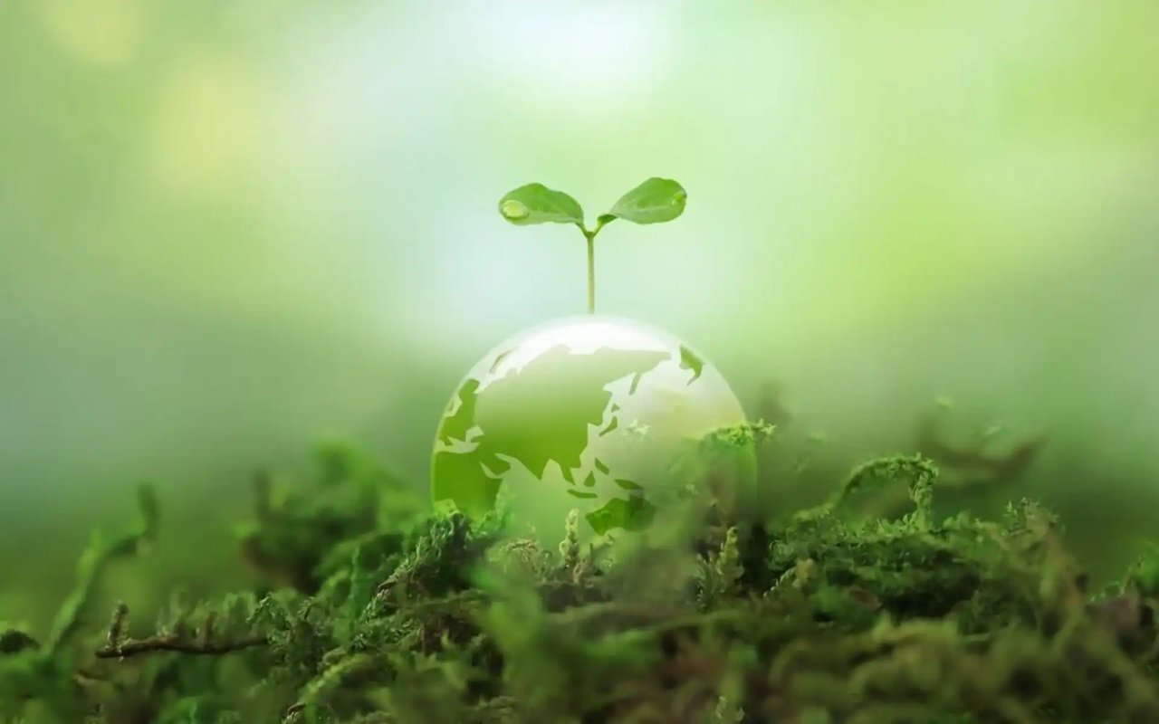 5 Tips For Eco-Friendly Living