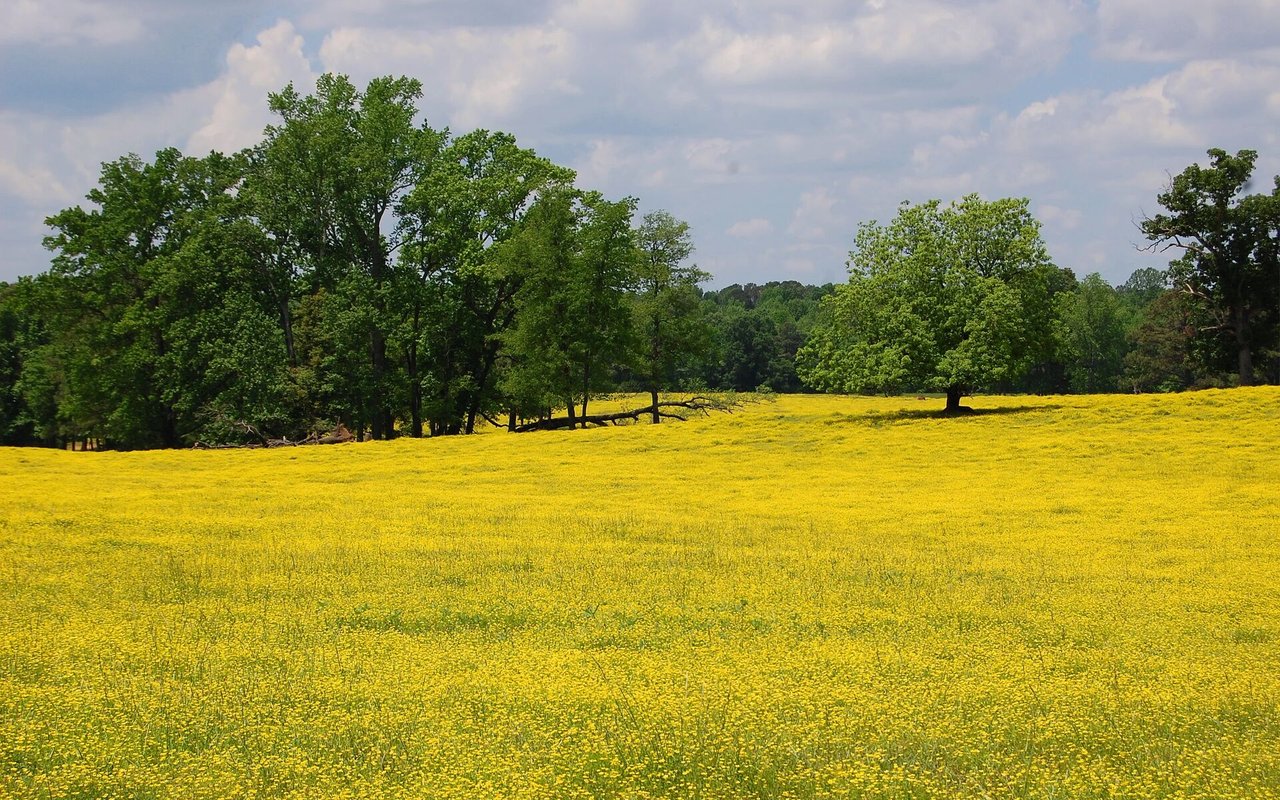 The Ultimate Guide to Buying Hunting Land in Wisconsin