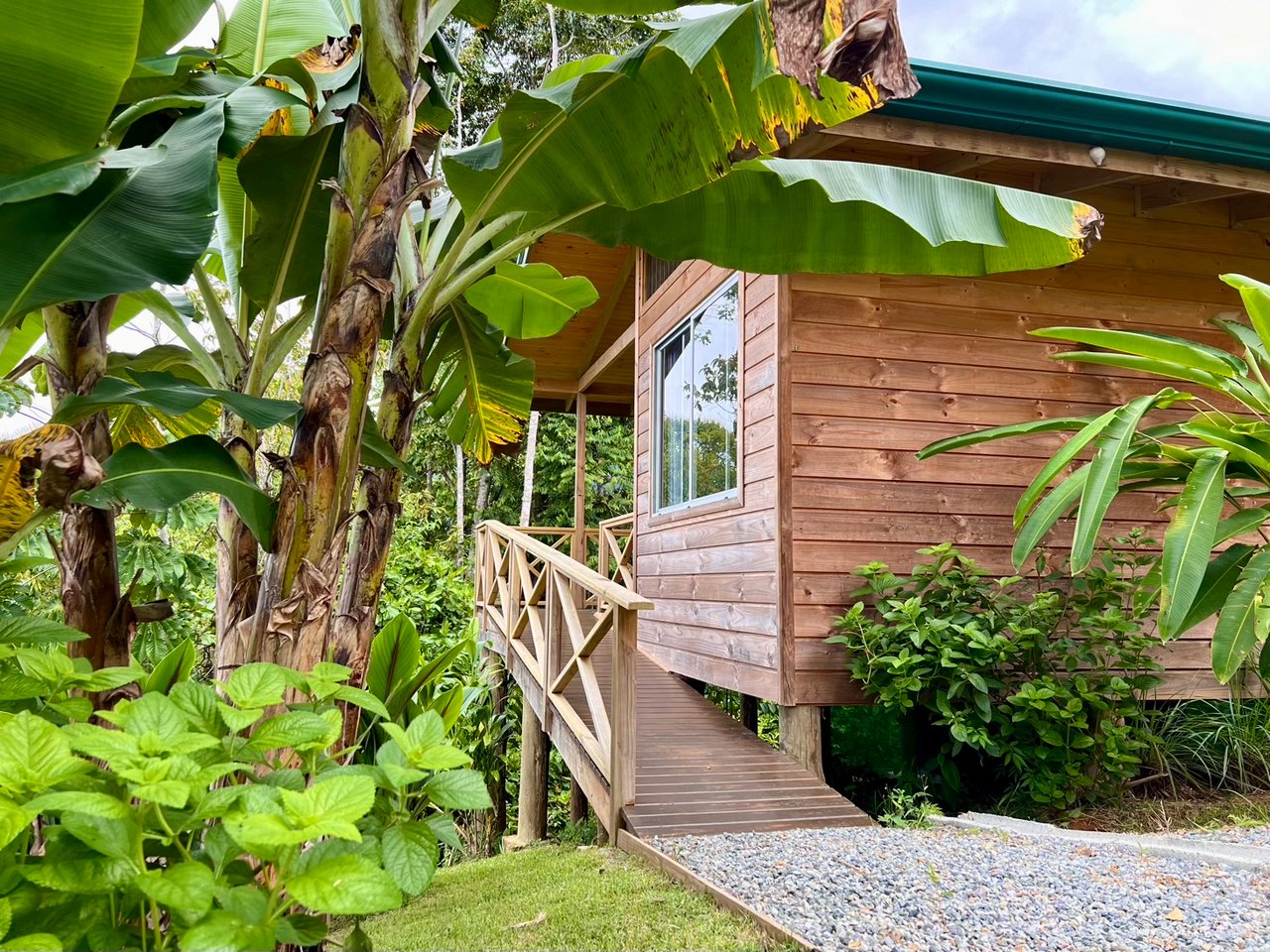 Eco-Luxury Home and Cabins with Waterfall, Ocean Views, and Organic Farming Potential
