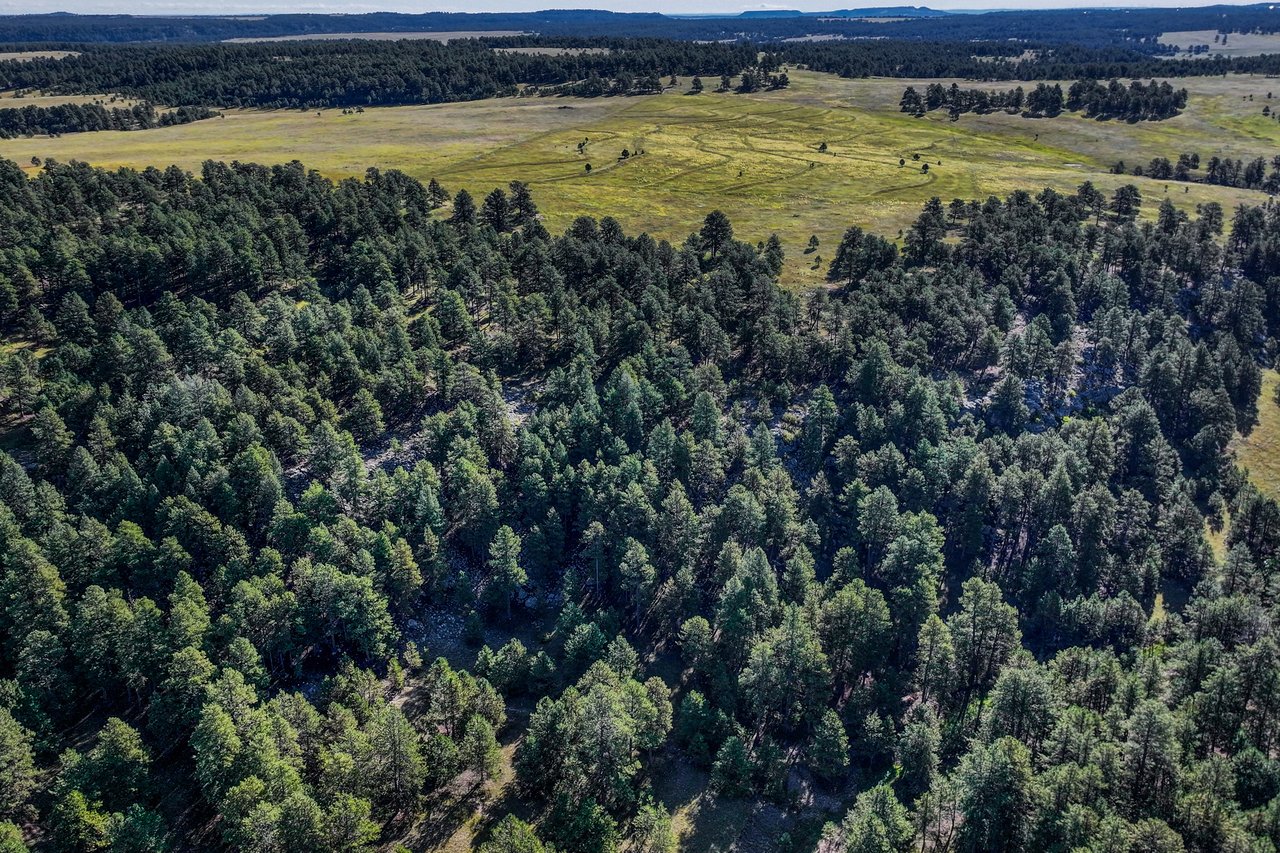 19100 County Road 17