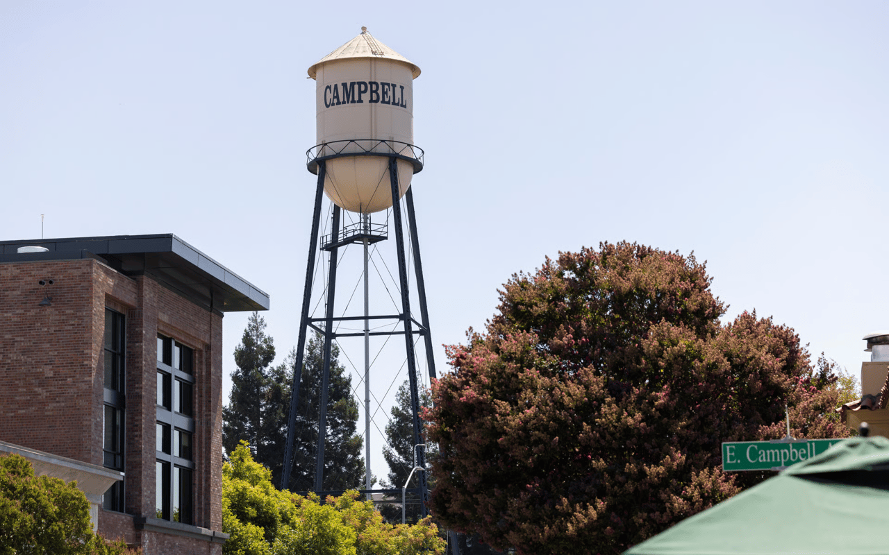 Campbell